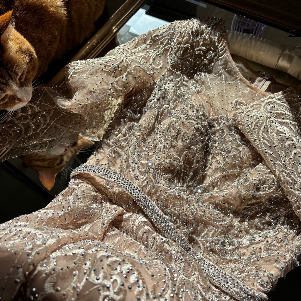 Ball gown, champagne color, lace and embellishment
